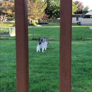 Meet your Posher, Ming